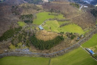 Aerial photo, forest damage in the forest area Friedwald, Saßmannshausen, Bad Laasphe, Siegerland,