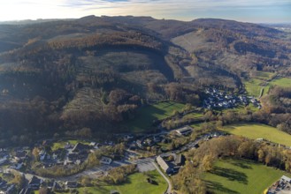 Aerial view, Binoler Berg forest area with forest damage in the district Volkringhausen in Balve,