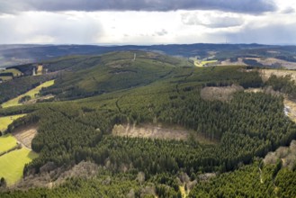 Aerial photograph, forest damage in the Holzhausen forest area, Bad Laasphe, Siegerland, North