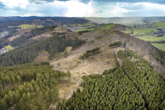 Aerial photo, forest damage in the Holzhausen forest area, Bad Laasphe, Siegerland, North