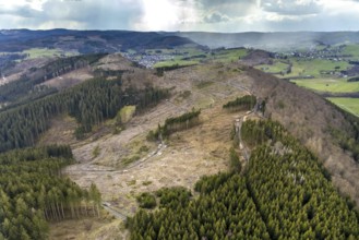 Aerial photo, forest damage in the Holzhausen forest area, Bad Laasphe, Siegerland, North