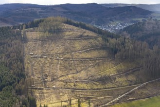 Aerial photo, forest damage in the Holzhausen forest area, Bad Laasphe, Siegerland, North