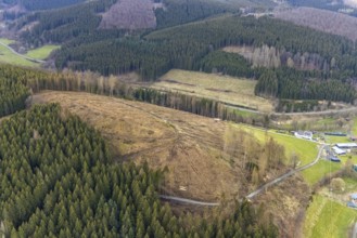 Aerial photo, forest damage in the Holzhausen forest area, Bad Laasphe, Siegerland, North