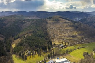 Aerial photo, forest damage in the Holzhausen forest area, Bad Laasphe, Siegerland, North