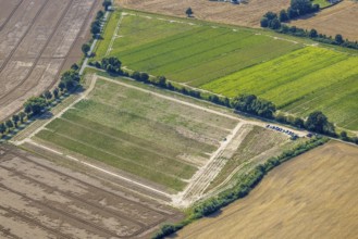 Aerial view, flower field, meadows and fields Im Kreigenfeld in Bergkamen, Ruhr area, North