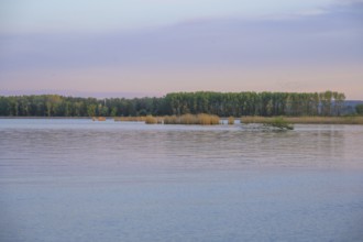 Evening light at the Drava reservoir, Prelog, Medimurje County, Croatia
