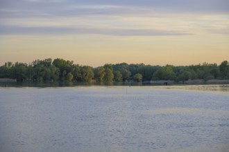 Evening light at the Drava reservoir, Prelog, Medimurje County, Croatia