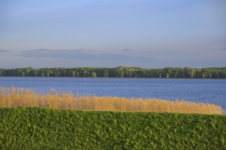 Drava Reservoir, Prelog, Medimurje County, Croatia