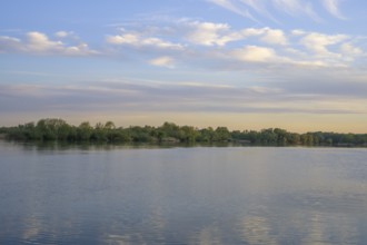 Evening light at the Drava reservoir, Prelog, Medimurje County, Croatia