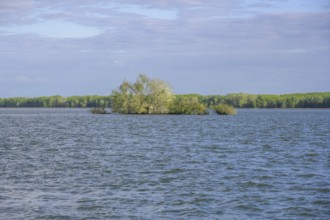 Drava Reservoir, Prelog, Medimurje County, Croatia