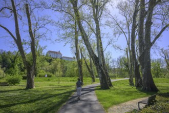 City park with a view of Oberradkersburg Castle in Slovenia, Bad Radkersburg, Styria, Austria