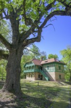 English oak (Quercus robur) and hunting lodge, Tikves, Osijek-Baranja County, Croatia