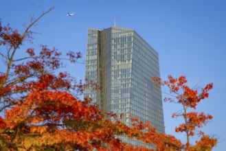 The European Central Bank (ECB) in Frankfurt am Main stands out from the autumnal, colourful trees