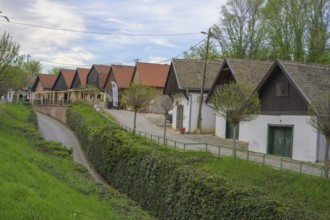 Cellar alley, Zmajevac, Osijek-Baranja County, Croatia