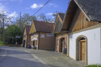 Cellar alley, Zmajevac, Osijek-Baranja County, Croatia