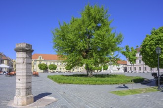 Pillory on the main square of Tvrda, Osijek, Osijek-Baranja County, Croatia