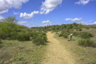 Ðurdevacki pjesci nature reserve, Ðurdevac, Koprivnica-Križevc County, Croatia