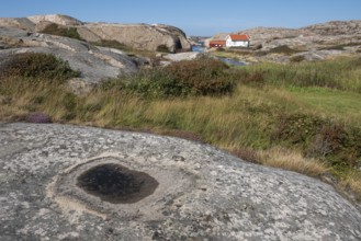 Houses on the coast, Bohus Granit, Ramsvik, Ramsviklandet nature reserve, archipelago, Bohuslän,
