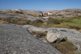 Houses on the coast, Bohus Granit, Ramsvik, Ramsviklandet nature reserve, archipelago, Bohuslän,