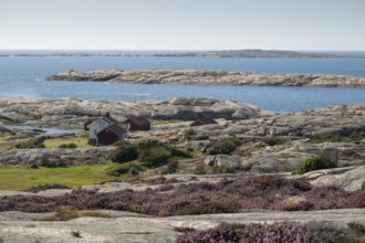 Houses by the sea, Bohus Granit, Ramsvik, Ramsviklandet nature reserve, archipelago, Bohuslän,