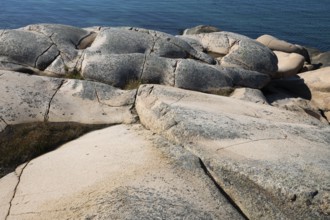 Rocky coast, Bohus granite, Ramsvik, Naturreservat Ramsviklandet, Bohuslän, Skagerrak, Sotenäs,