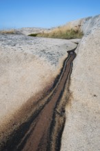 Gully, formed by rainwater, Bohus granite, Ramsvik, Naturreservat Ramsviklandet, Bohuslän,