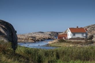 White houses and falun red boathouse on grassy shore, Bohus granite, rocky coast, Ramsvik,