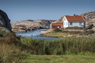 White houses and falun red boathouse on grassy shore, Bohus granite, rocky coast, Ramsvik,