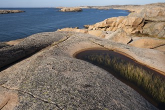 Rocky coast, Bohus granite, Ramsvik, Naturreservat Ramsviklandet, Bohuslän, Skagerrak, Sotenäs,