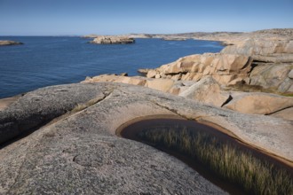 Rocky coast, Bohus granite, Ramsvik, Naturreservat Ramsviklandet, Bohuslän, Skagerrak, Sotenäs,