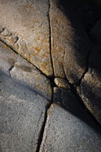 Bohus granite with cracks and lichens, Ramsvik, Naturreservat Ramsviklandet, Bohuslän, Skagerrak,