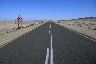 Sign warning of brown hyenas or beach wolves (Parahyaena brunnea), near Lüderitz, Karas Region,