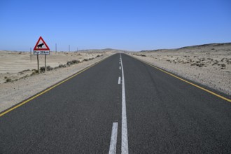 Sign warning of brown hyenas or beach wolves (Parahyaena brunnea), near Lüderitz, Karas Region,