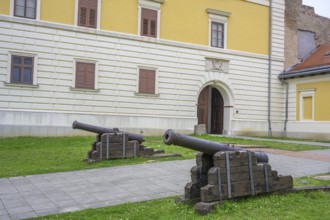 Cannons in front of the museum, Ilok, Vukovar-Srijem County, Croatia
