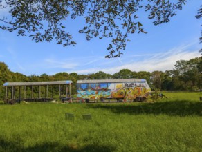 Railway in meadow graffiti Minden Germany