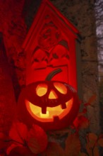 Halloween pumpkin with candlelight in the cemetery, illuminated red and spooky
