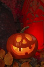 Halloween pumpkin with candlelight in the cemetery, illuminated red and spooky