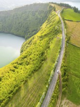 Car on Road with Hydrangeas. Green Lush Fields and Trees. Azores, Sao Miguel Island. Portugal.
