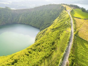 Road with Hydrangeas. Green Fields, Forest, Hills and Lake. Azores, Sao Miguel Island. Portugal.