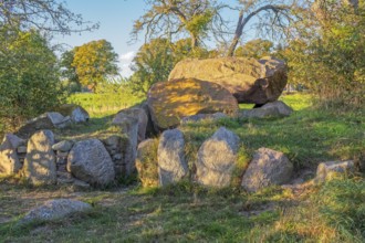 Historic megalithic tomb near Rerik Baltic Sea Germany