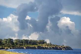 Steep coast Wustrow peninsula Baltic Sea Germany