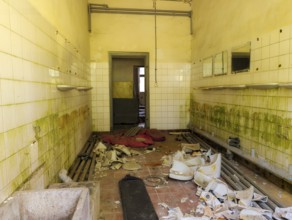 Abandoned military site Wustrow peninsula Baltic Sea Germany