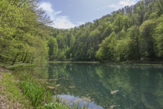 Lake in Papuk National Park, Jankovac, Slatinski Drenovac, Virovitica-Podravin County, Croatia