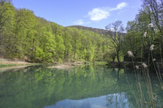 Lake in Papuk National Park, Jankovac, Slatinski Drenovac, Virovitica-Podravin County, Croatia
