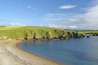 Sandy beach beach and blue sea with green cliffs under a clear sky, Eshaness, Shetland Islands,