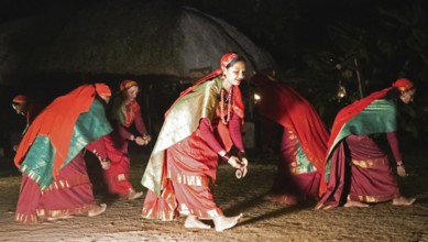 Kodava woman in traditional dress dancing in the evening, blurred, Coorg, Karnataka, India