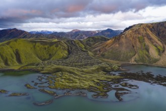 Moss-covered lava field, Landmannalaugar, Fjallabak Nature Reserve, Icelandic Highlands, Iceland
