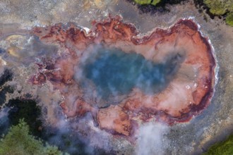 Hveravellir geothermal area, steaming spring, Icelandic Highlands, Iceland
