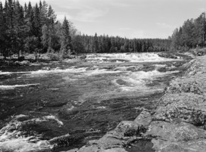Wild untamed river, black and white, analogue, Härjedalen, Sweden