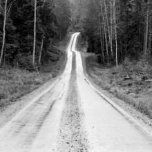 Gravel road through forest in Glaskogen nature reserve, shwarzweiss, analogue, Värmland, Sweden